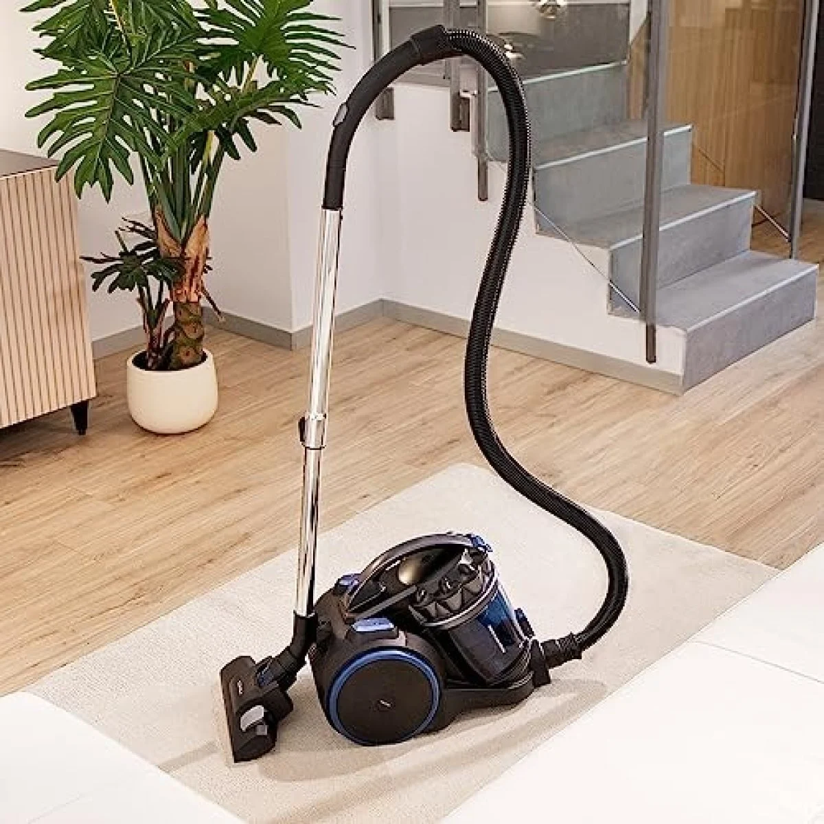 Aspirador sin bolsa Cecotec Rockstar Multicyclonic XXL 800 W 4 L