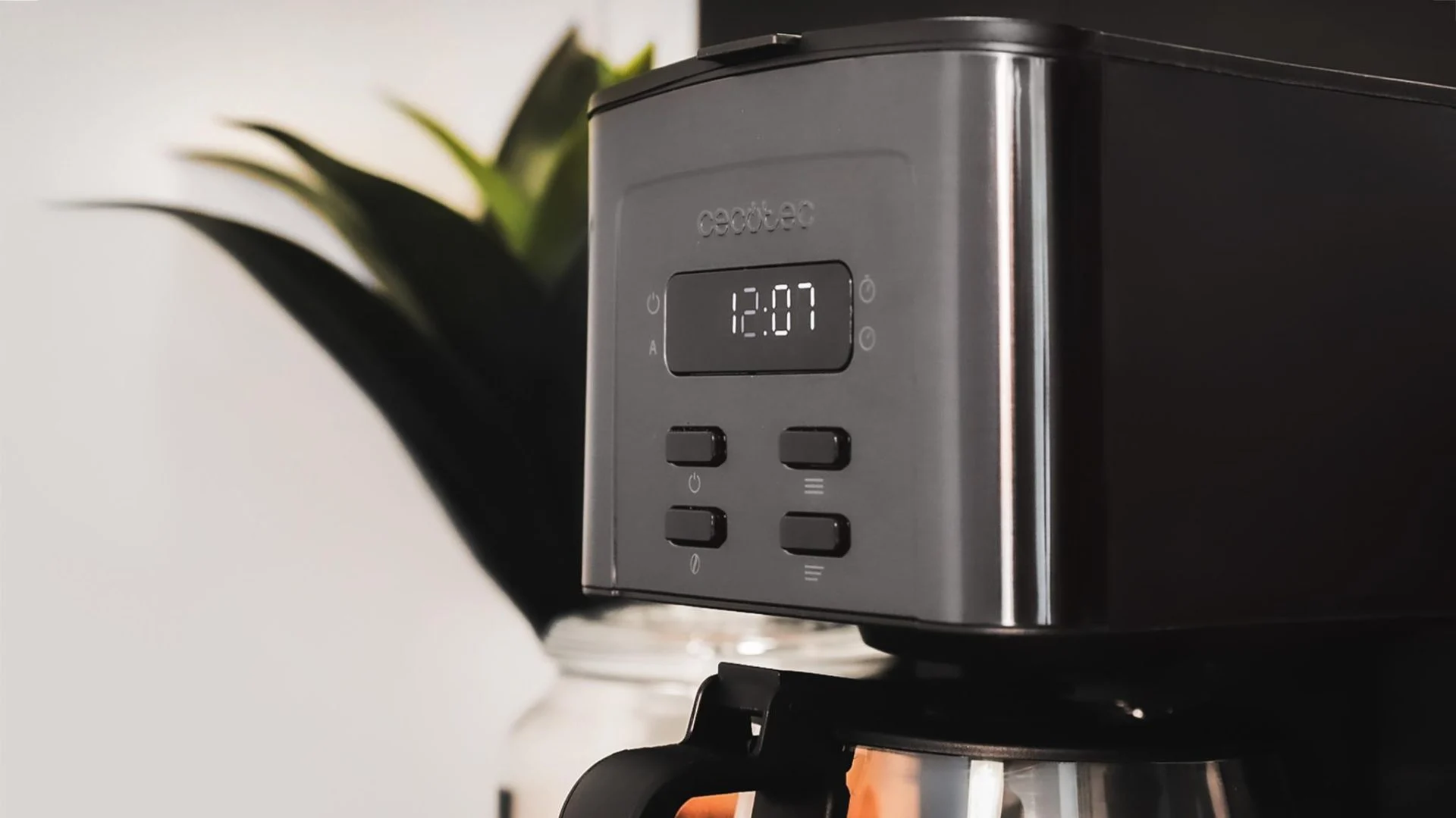 Cafetera de goteo Cecotec DIGT 12 T Coffee 56 Time 800 W Acero Inoxidable
