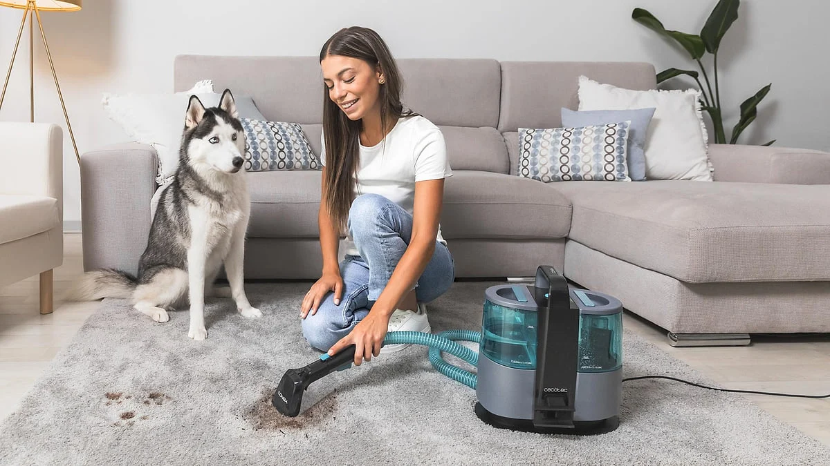 Aspirador de Tapicerías Cecotec Conga 4000 Carpet&Spot Clean 400 W 3 en 1